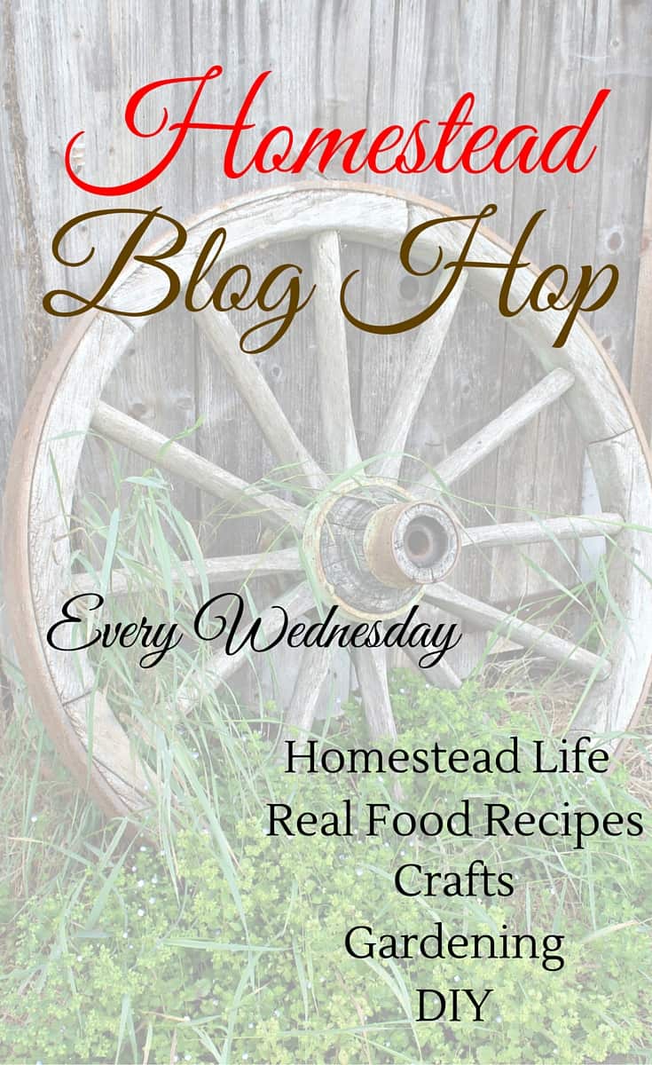 Homestead Blog Hop