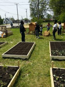 We Sow, We Grow Community Garden Initiative
