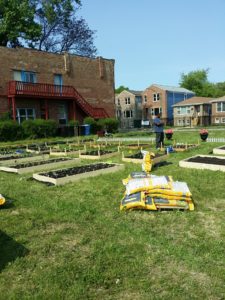 We Sow, We Grow Community Garden Initiative