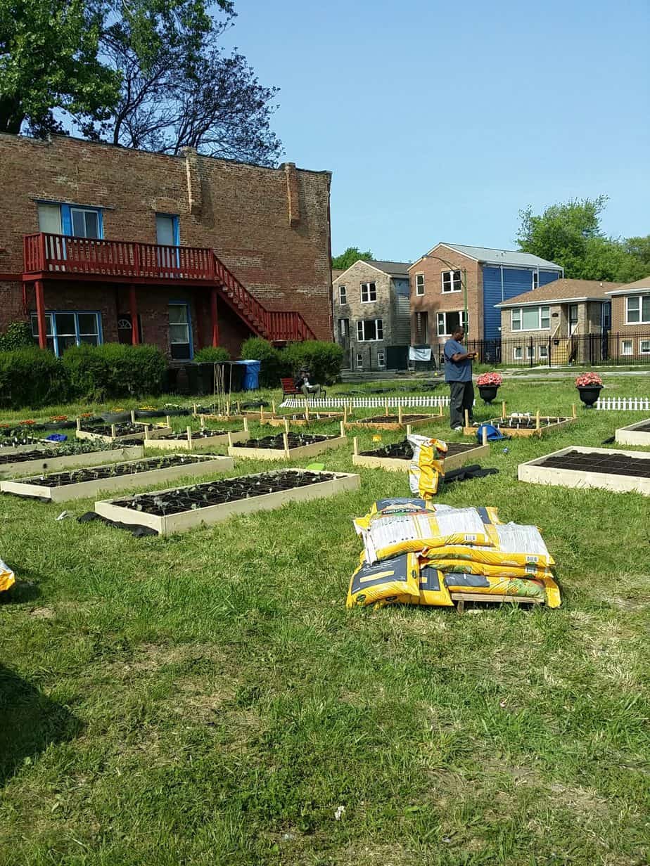 We Sow, We Grow Community Garden Initiative 