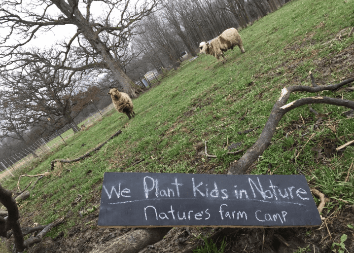 Nature's Farm Camp