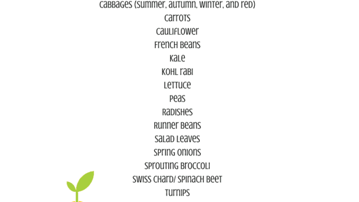 Seeds to Sow Directly in May