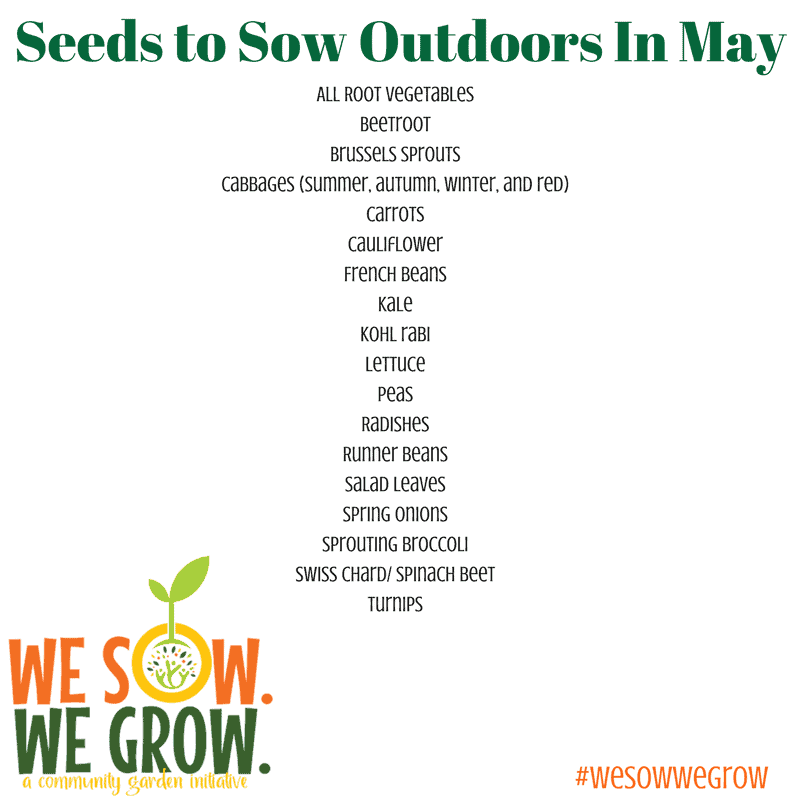 Seeds to Sow Directly in May