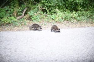 Things to do in Porter County, Indiana