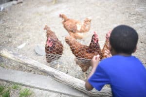 Things to do in Porter County, Indiana