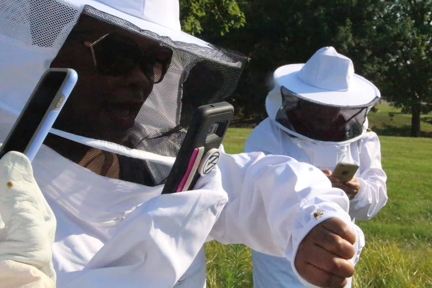 Learning Beekeeping at Monsanto 