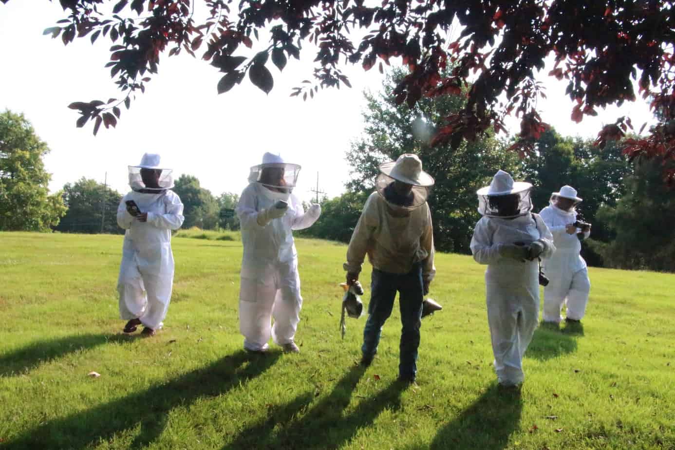 Learning Beekeeping at Monsanto 