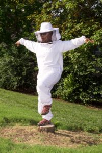 Learning Beekeeping at Monsanto