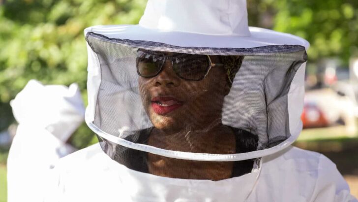 BeeKeeping It Real: A Day in the Life of a Beekeeper