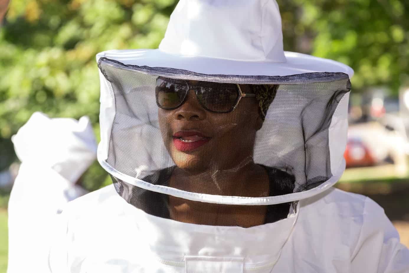 Learning Beekeeping at Monsanto 