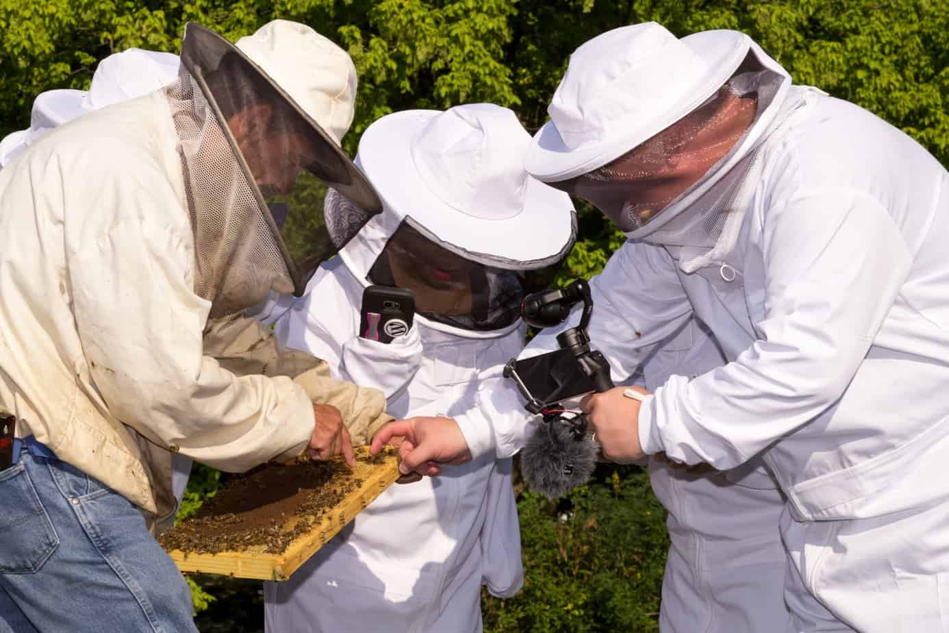 Learning Beekeeping at Monsanto 