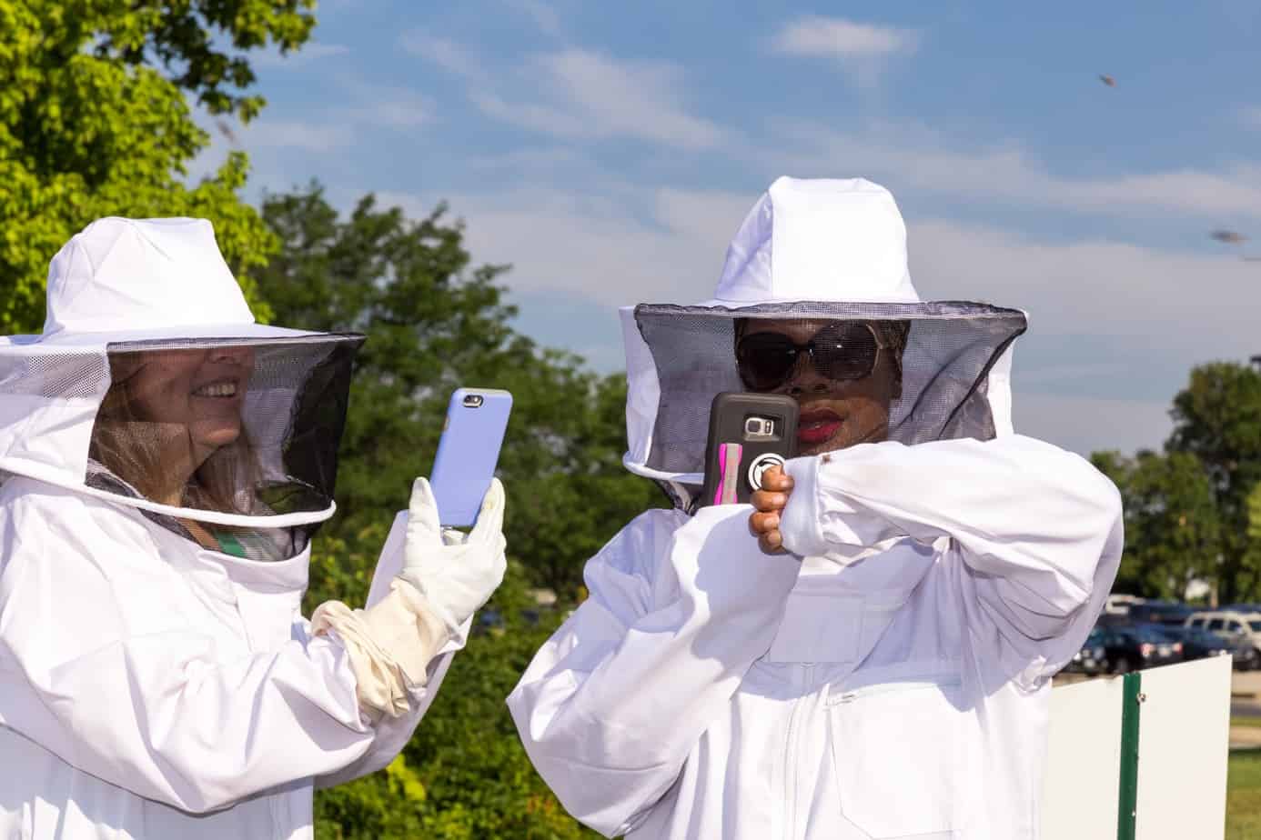 Learning Beekeeping at Monsanto 