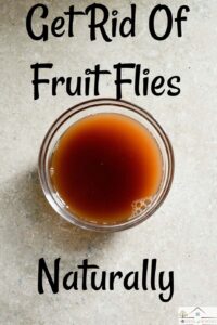 Getting Rid of Fruit Flies