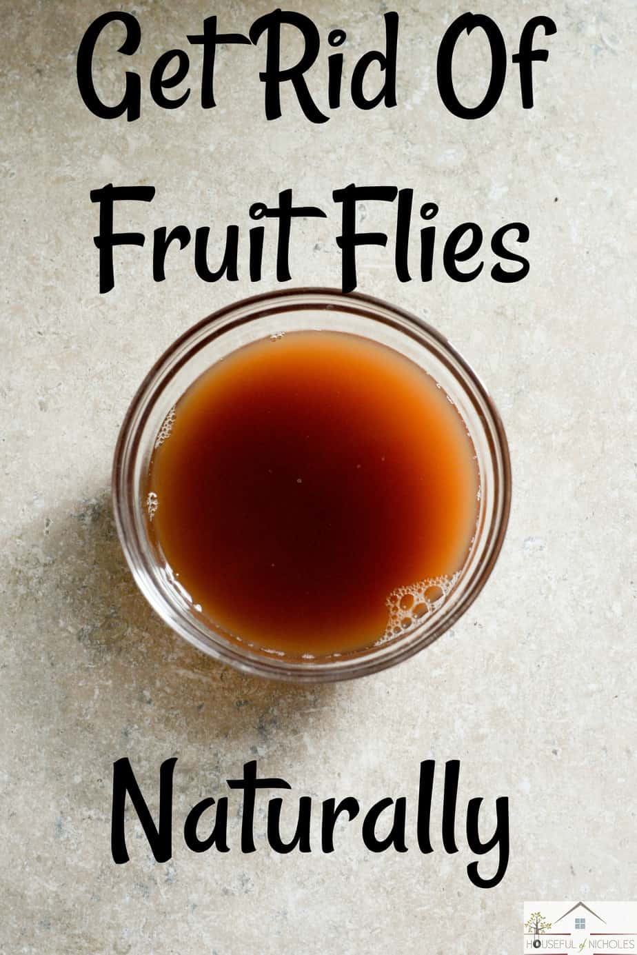 Getting Rid of Fruit Flies 
