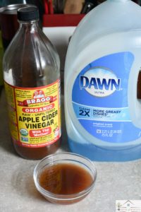 Getting Rid of Fruit Flies