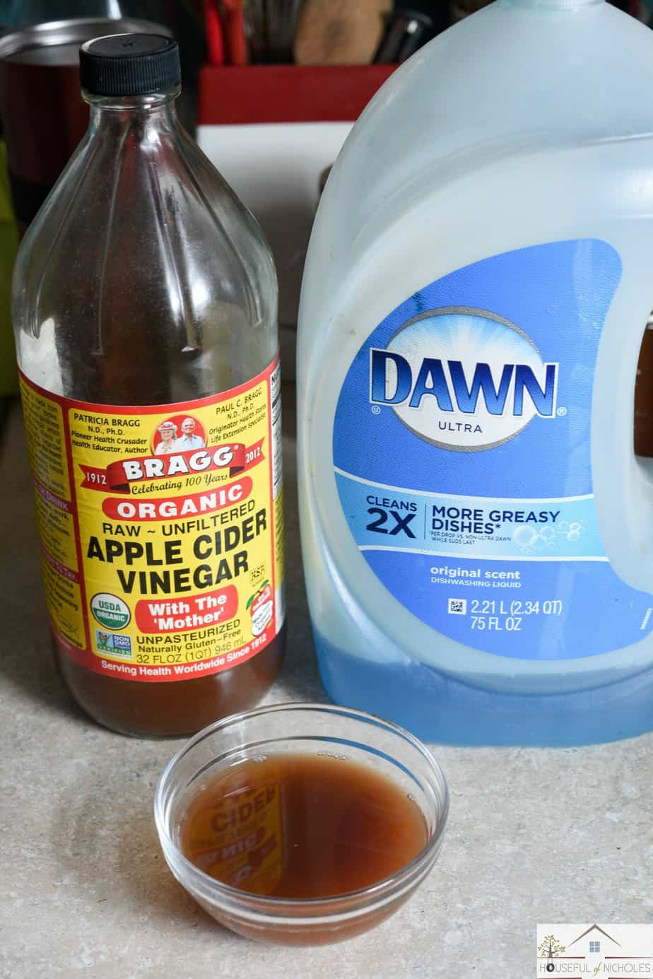 Getting Rid of Fruit Flies 