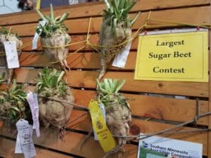 Minnesota State Fair with Kids
