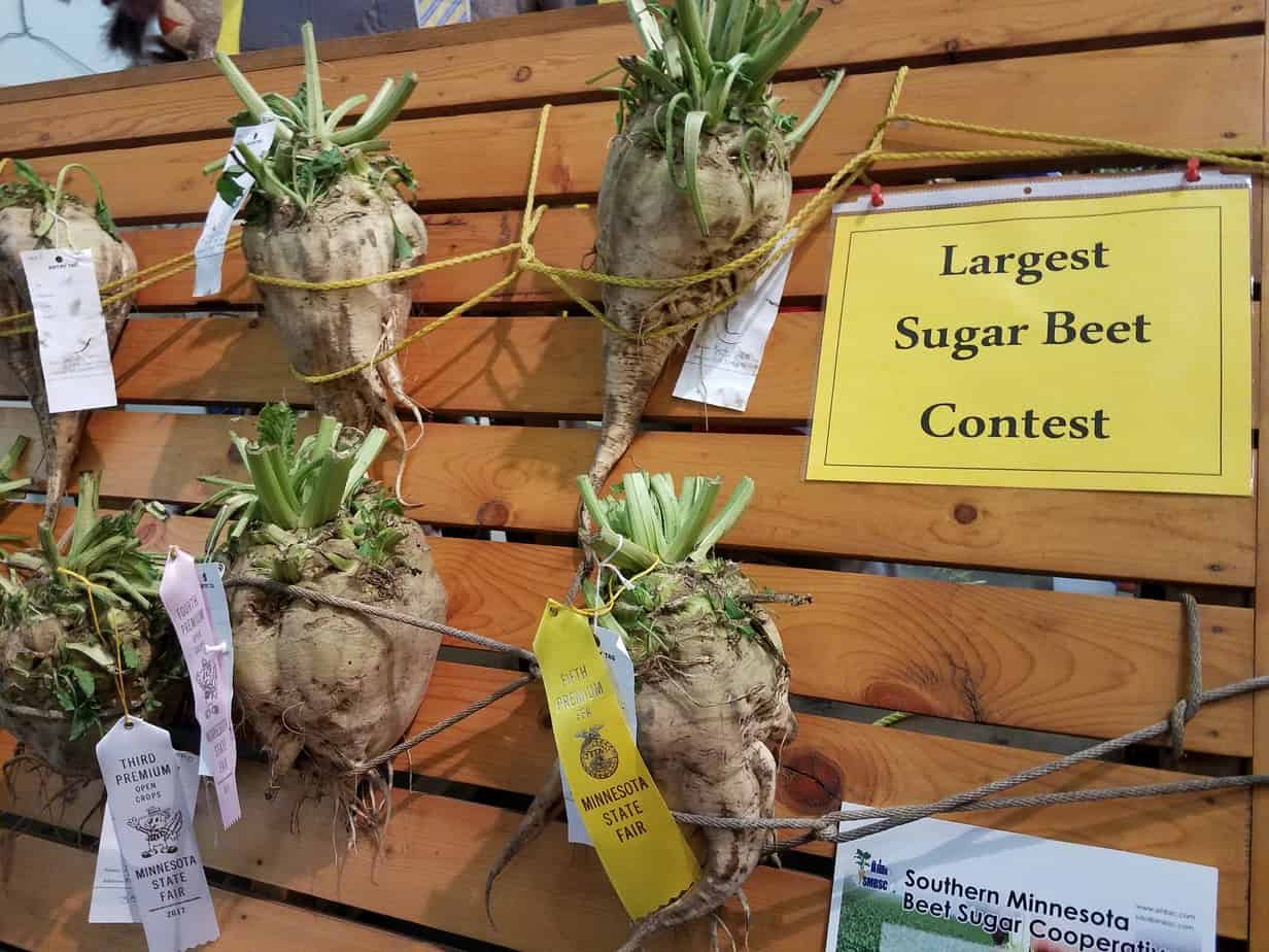 Minnesota State Fair Agriculture Building