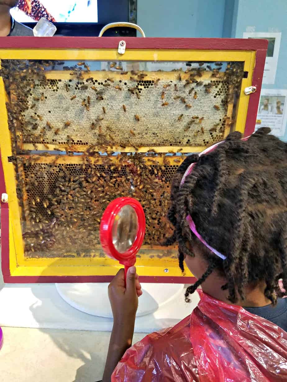 Minnesota State Fair with Kids