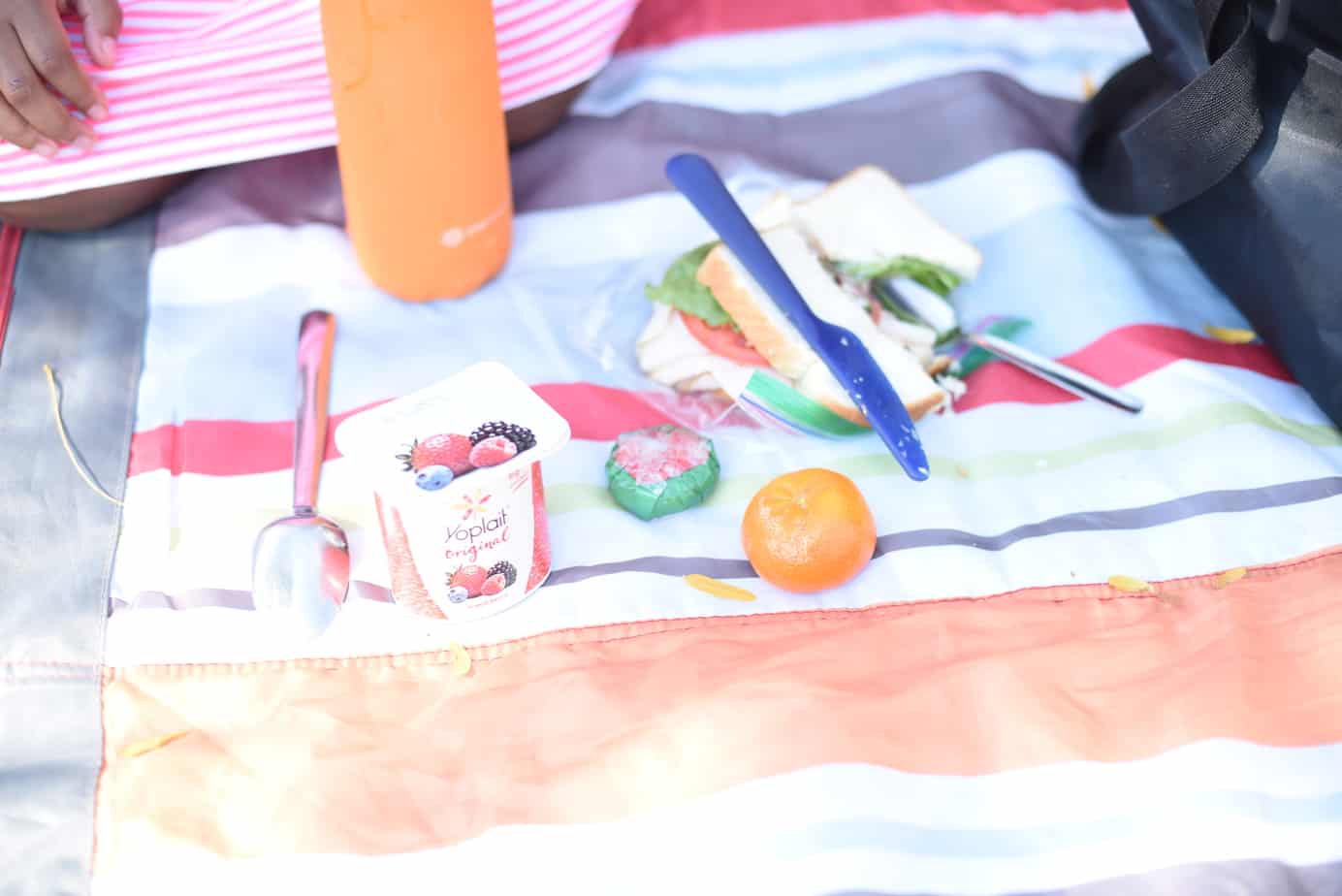 Yoplait Multipacks Makes Lunch Easier! 