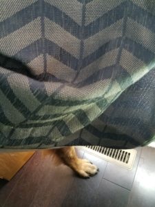 Milos Kitchen Home-Style-Dog Treats