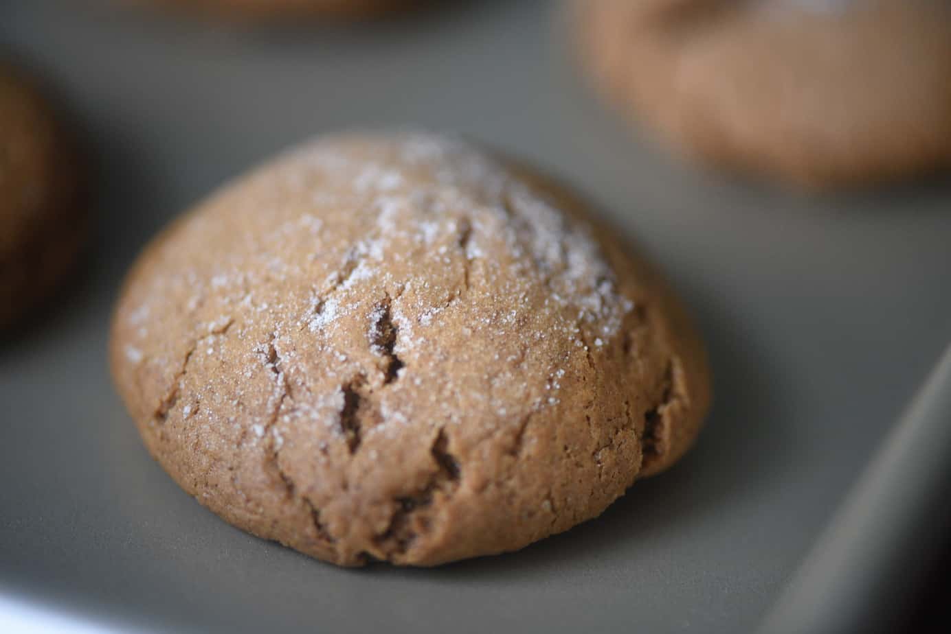 Slow As Molasses Cookies - Houseful Of Cookies