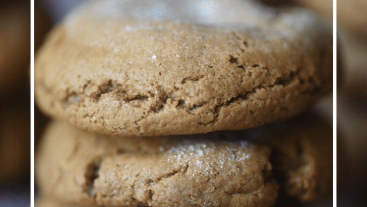Slow As Molasses Cookies #HousefulOfCookies