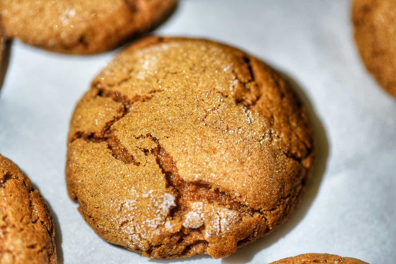 Houseful Of Cookies - Slow As Molasses Cookies 