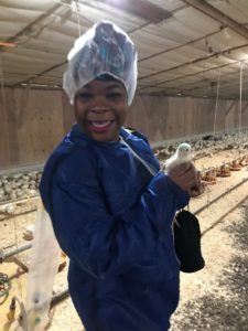 Natasha Nicholes from Houseful Of Nicholes holding a 15 day old broiler chicken #chickencheckin #ad
