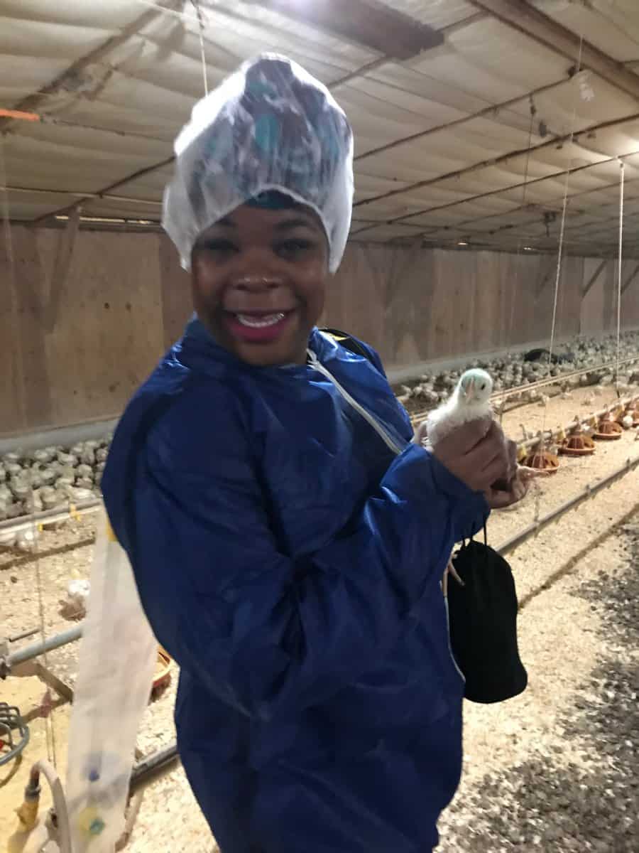 Natasha Nicholes from Houseful Of Nicholes holding a 15 day old broiler chicken #chickencheckin #ad 