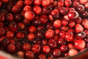 Oven Drying Cranberries