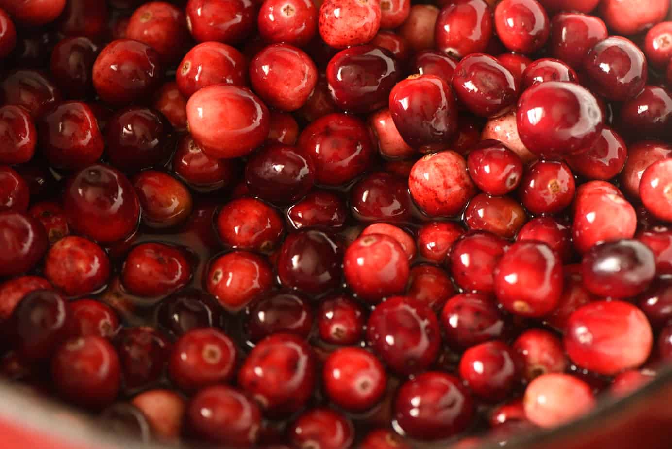 Oven Drying Cranberries 
