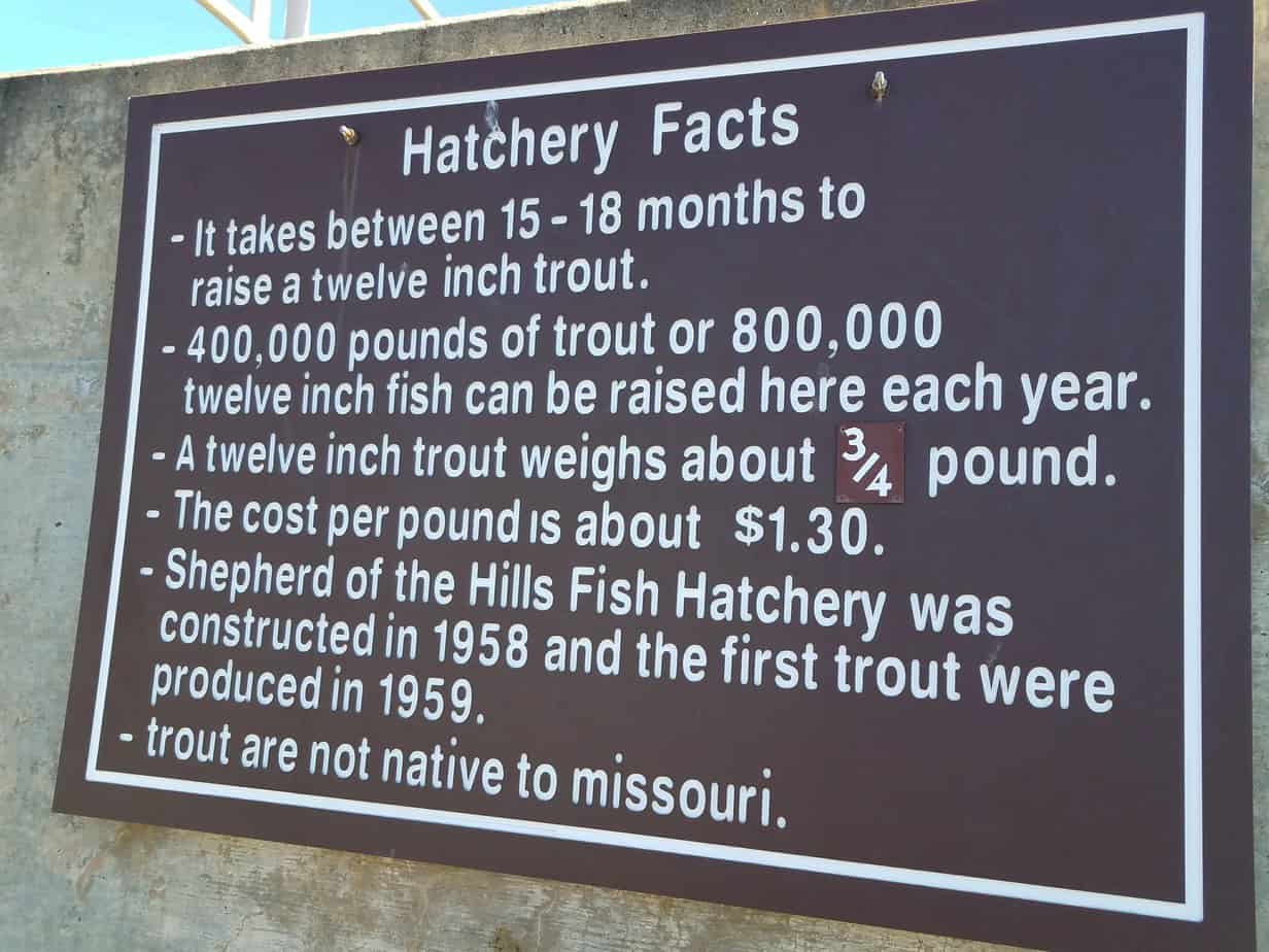 Shepherd of the Hills Fish Hatchery - Free Family fun in Branson, Missouri Here you can feed raised trout, and learn about birds and animals in Missouri