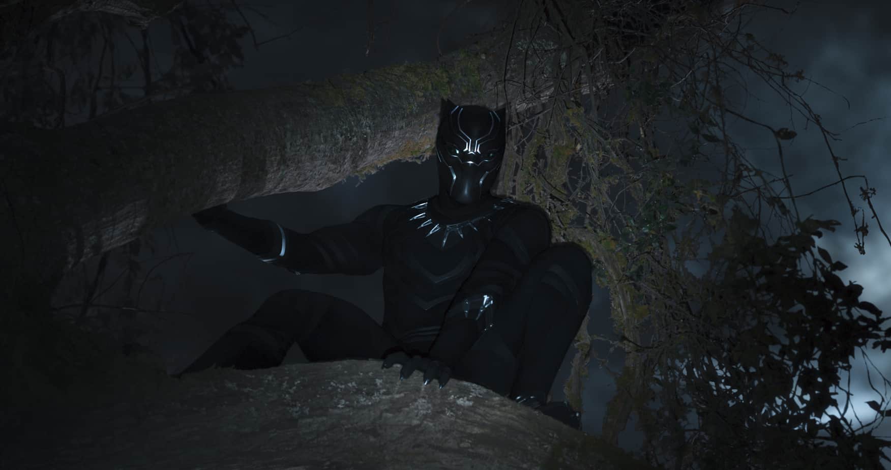 Black Panther Tree Pose 