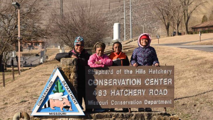 Fun Family Outings: Shepherd of the Hills Fish Hatchery – Branson, Missouri
