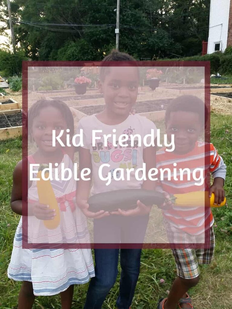 Kid Friendly Edible Gardening