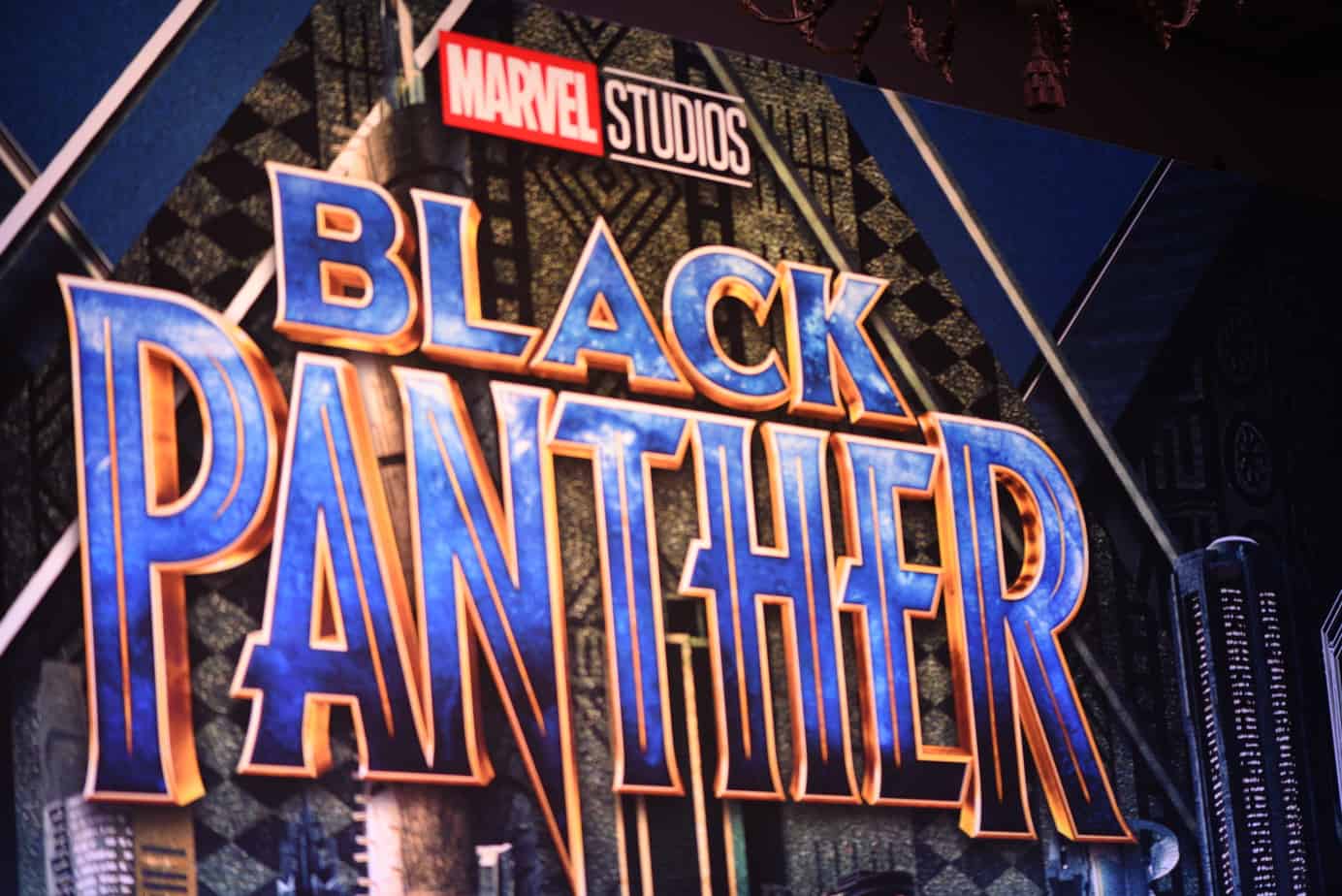 Black Panther Press Conference 