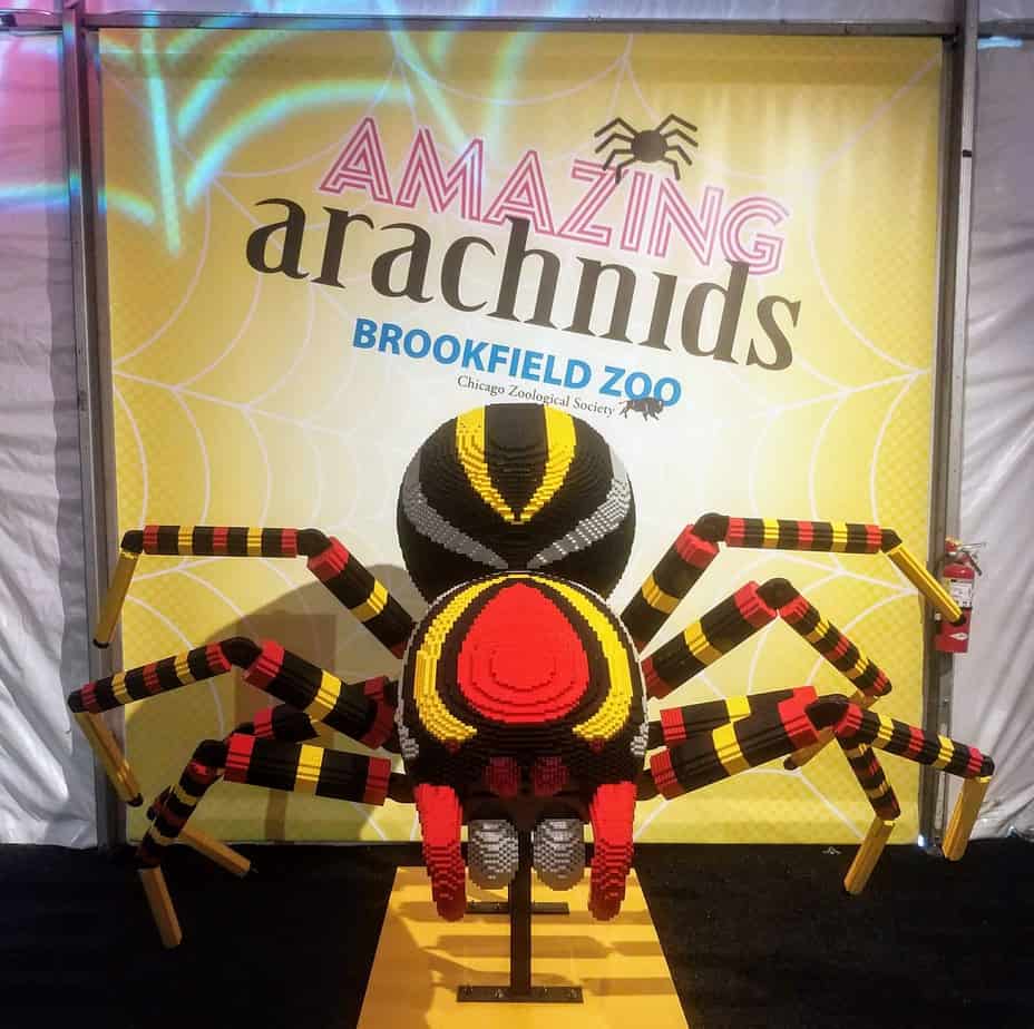 Amazing Arachnids at Brookfield Zoo