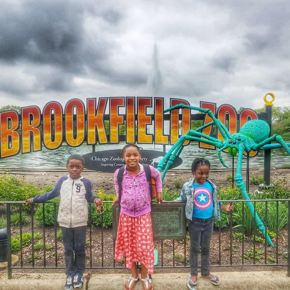 Brookfield Zoo's Amazing Arachnids