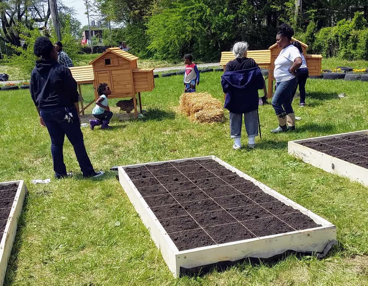 How To Garden When You Have Allergies