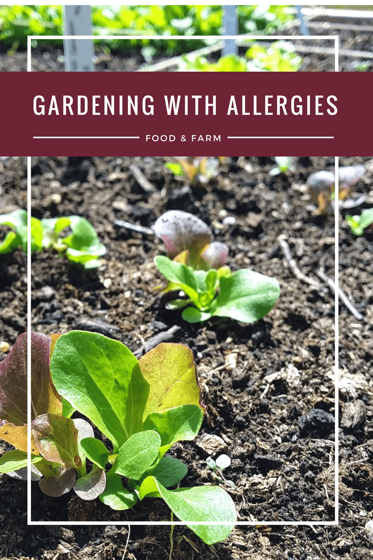 How to Garden With Allergies 