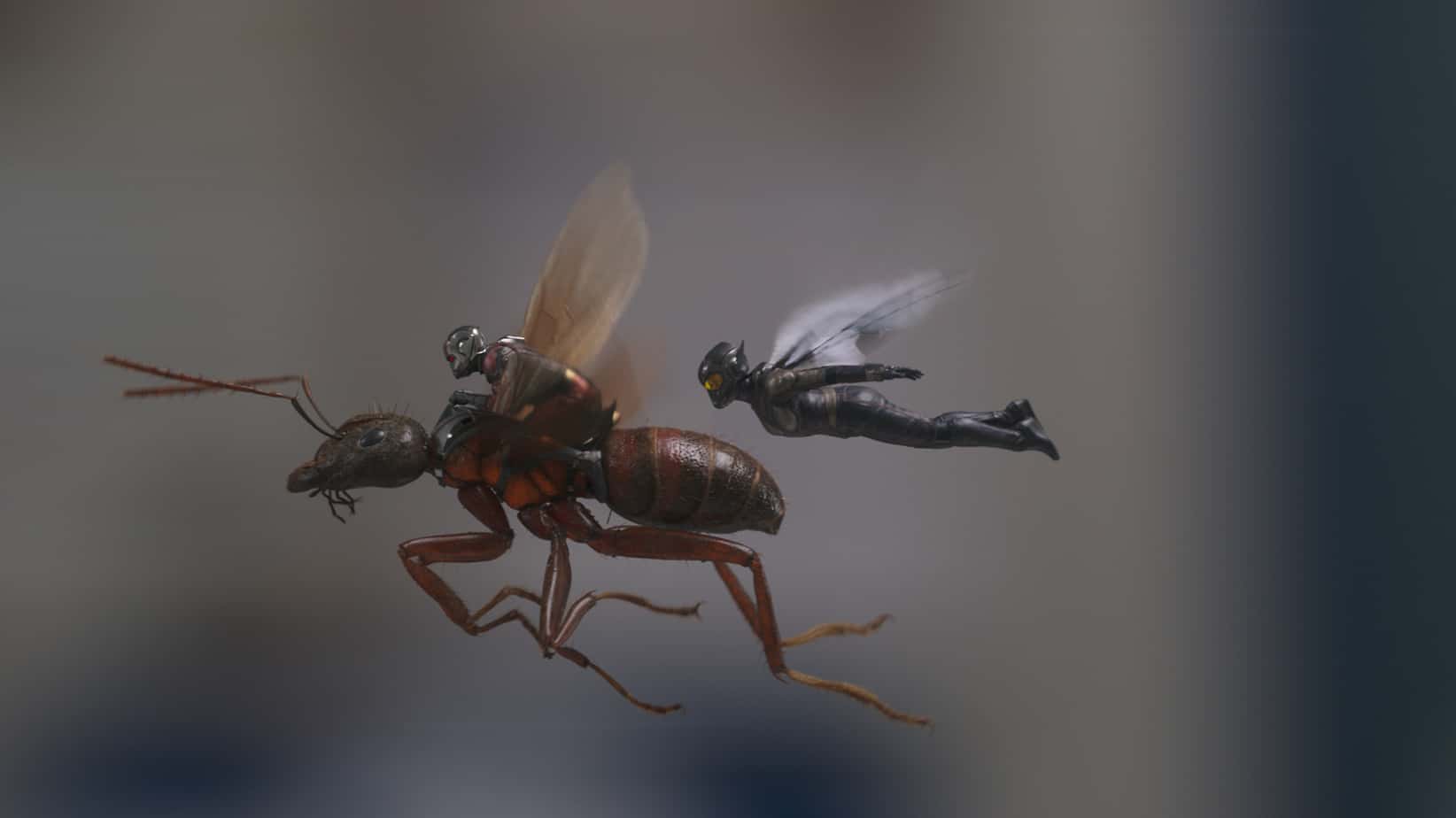Ant-Man and The Wasp Event 