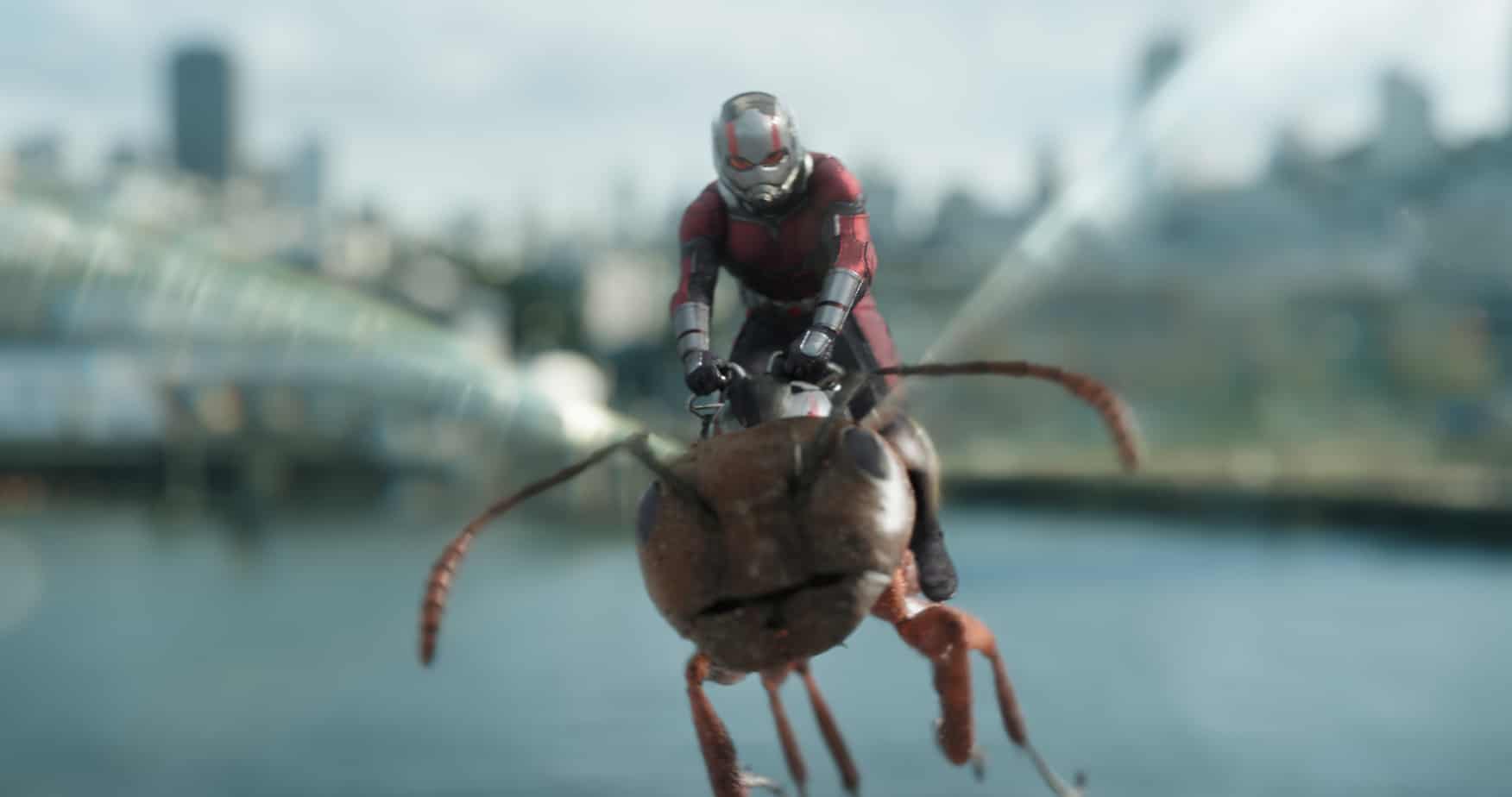 Ant-Man and The Wasp Review 