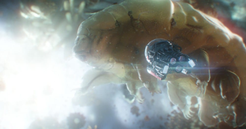 Peyton Reed Discussed Ant Man and The Wasp