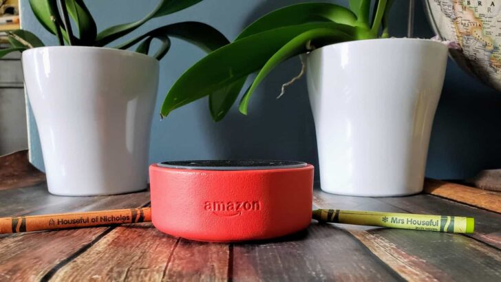 The Echo Dot Kids Back to School Checklist