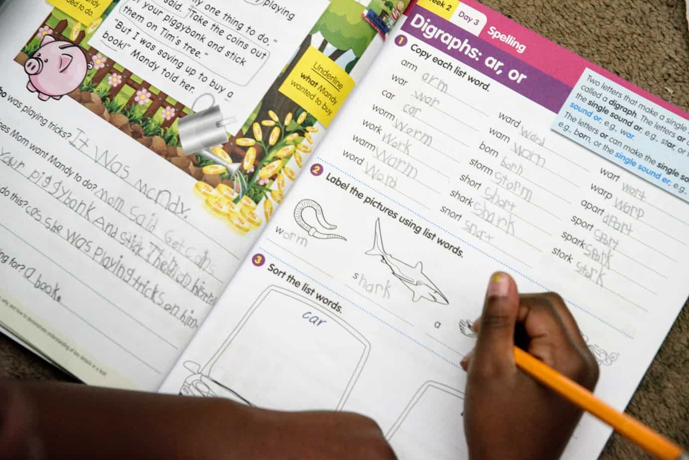 Reading Eggs & Mathseeds provides multiple ways in which to keep your homeschool children engaged. With workbooks, you can provide a multisensory approach to your homeschool.