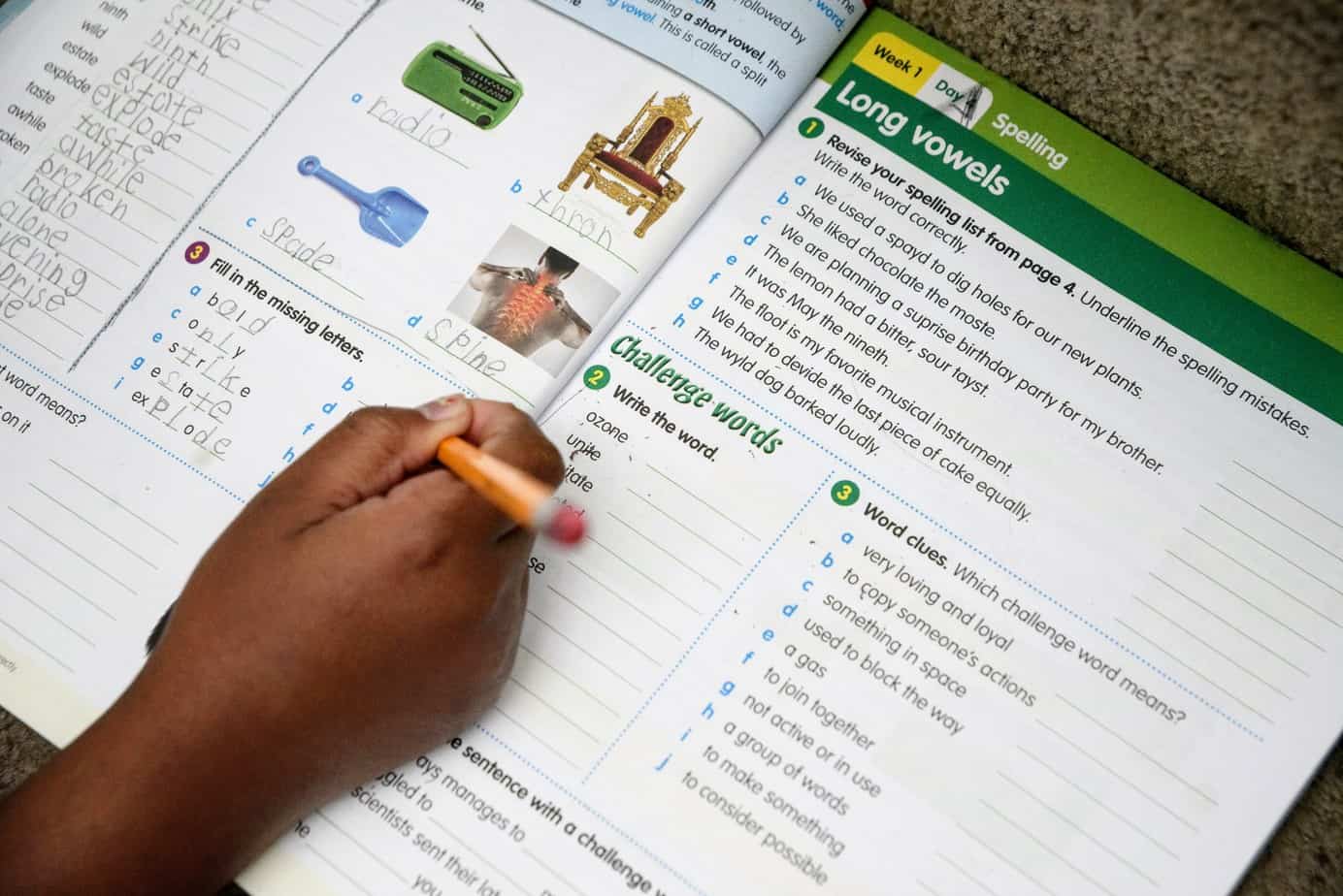 Reading Eggs & Mathseeds provides multiple ways in which to keep your homeschool children engaged. With workbooks, you can provide a multisensory approach to your homeschool.