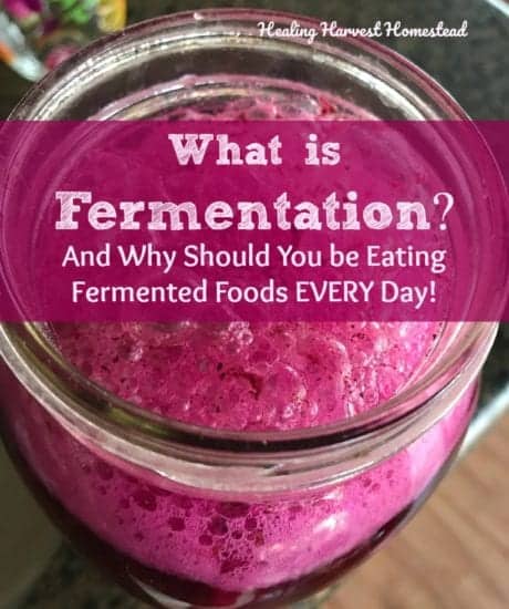 Homestead Blog Hop Feature - What is Fermentation