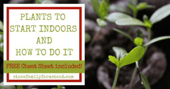 Homestead Blog Hop Feature - Plants to Start Indoors and How to