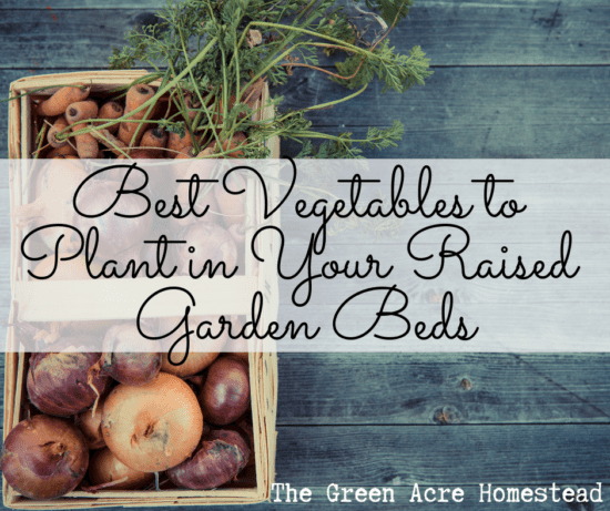 Homestead Blog Hop Feature - Best-Vegetables-to-Plant-in-Your-Raised-Garden-Beds